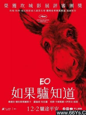 迷宫图书馆 动画封面